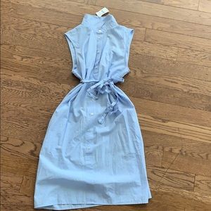 J. Crew Blue Button Up Dress